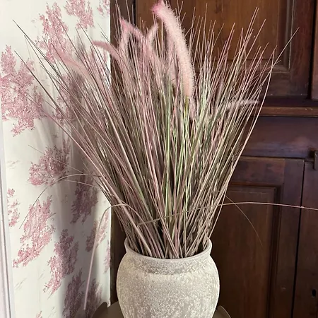 فندق مبيت وإفطار L'amiraute Sur Baise 3*