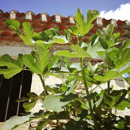 L'amiraute Sur Baise 3* Saint-Jean-Poutge