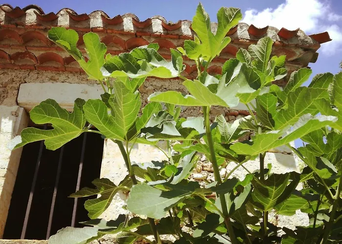 Le Cozy 3* Saint-Jean-Poutge